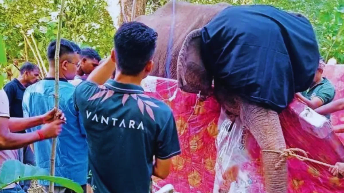 Vantara