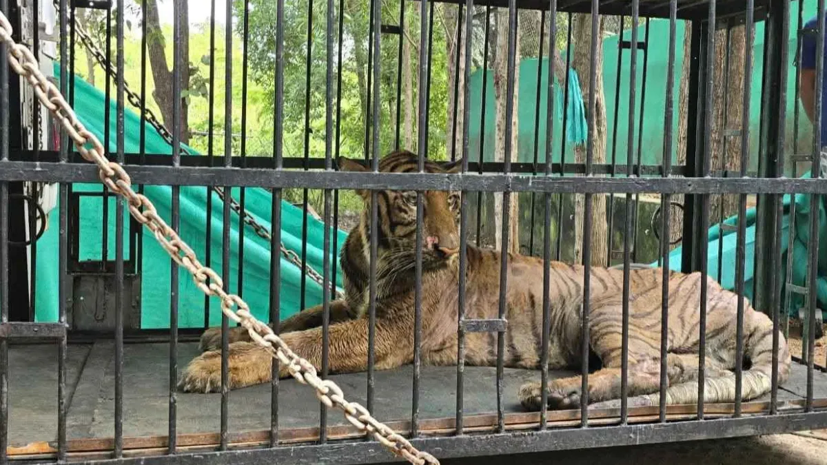 Vantara Animal Rescue Centre