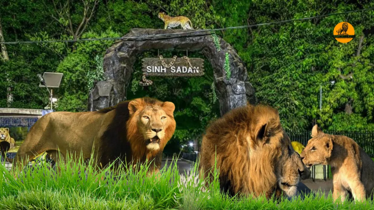 Gir National Park