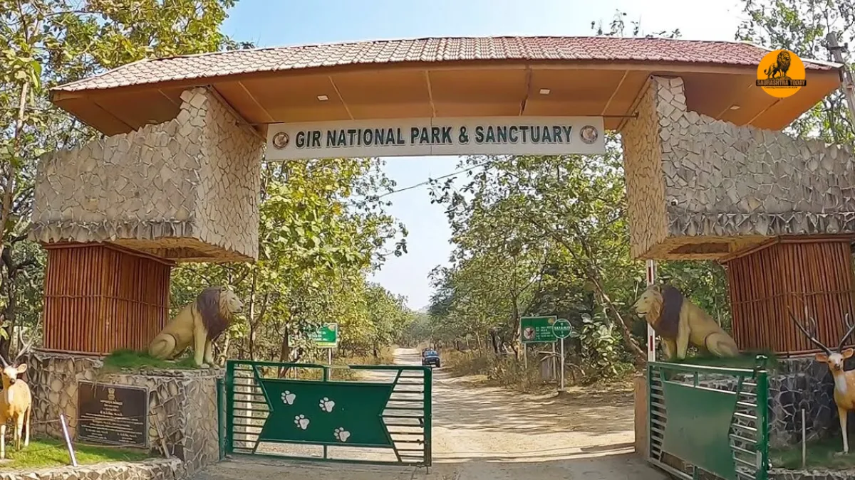 converted_image - 2025-10-08T153343.400 Sasan Gir Safari Starts