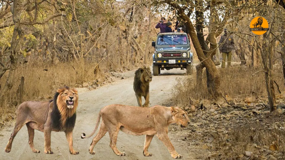 Gir Online Safari Booking