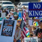 No Kings Fox