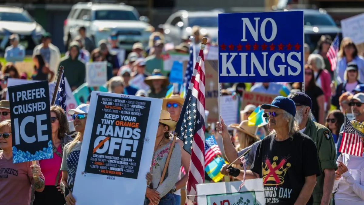 No Kings Fox