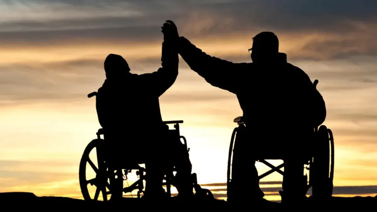 Disability certificates