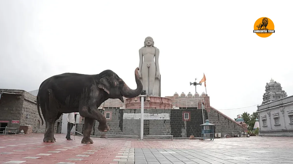Madhuri Elephant