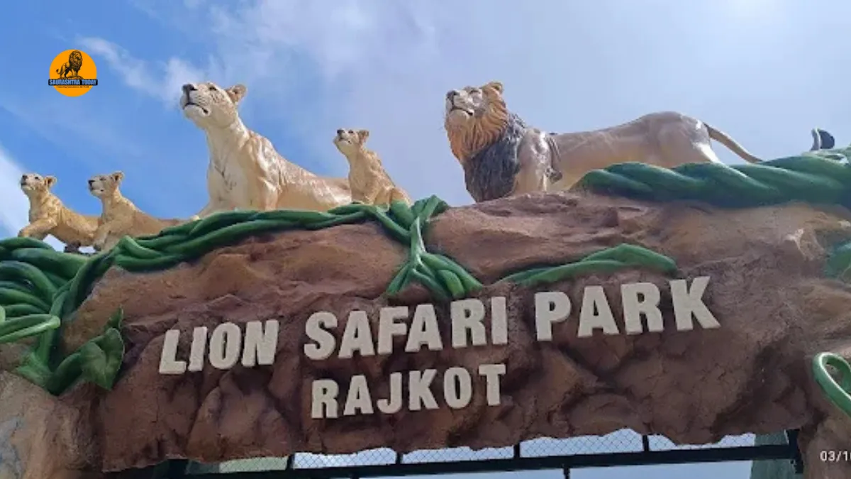 Lion Safari Park Rajkot