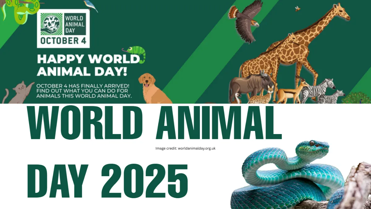 World Animal Day