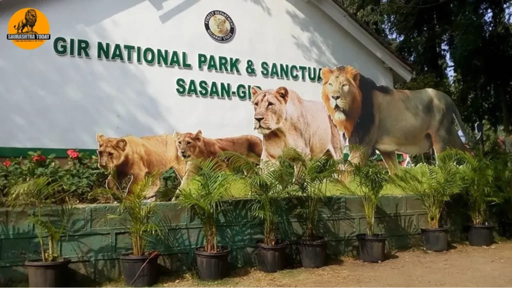 Gir National Park
