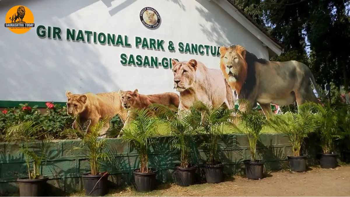 Gir National Park