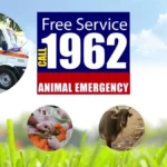 Karuna Animal Ambulance 1962