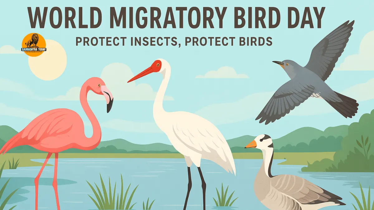 World Migratory Bird Day 2025