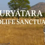 Suryatara Wildlife Sanctuary