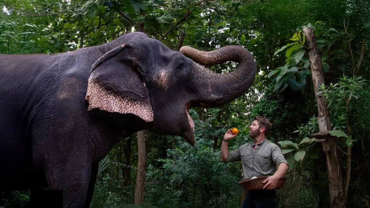 Vantara Sanctuary Stories